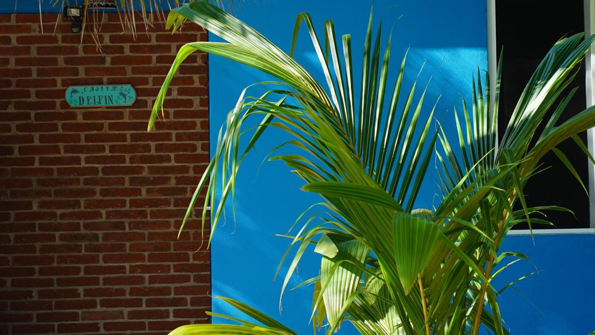 Ocean Oasis Hotel - Adult Only, Four Casitas Boutique Resort Agua Blanca Kültér fotó