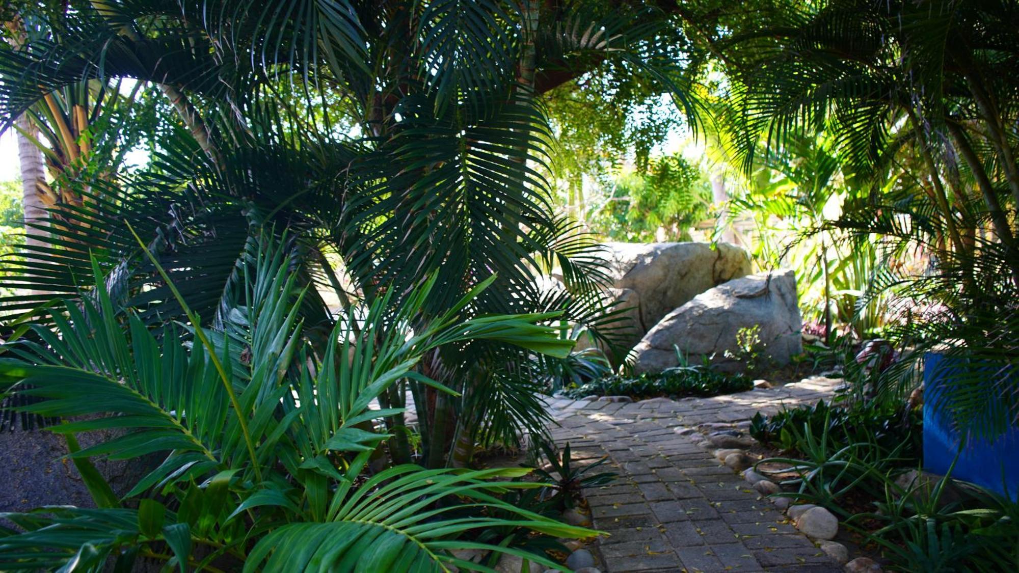 Ocean Oasis Hotel - Adult Only, Four Casitas Boutique Resort Agua Blanca Kültér fotó