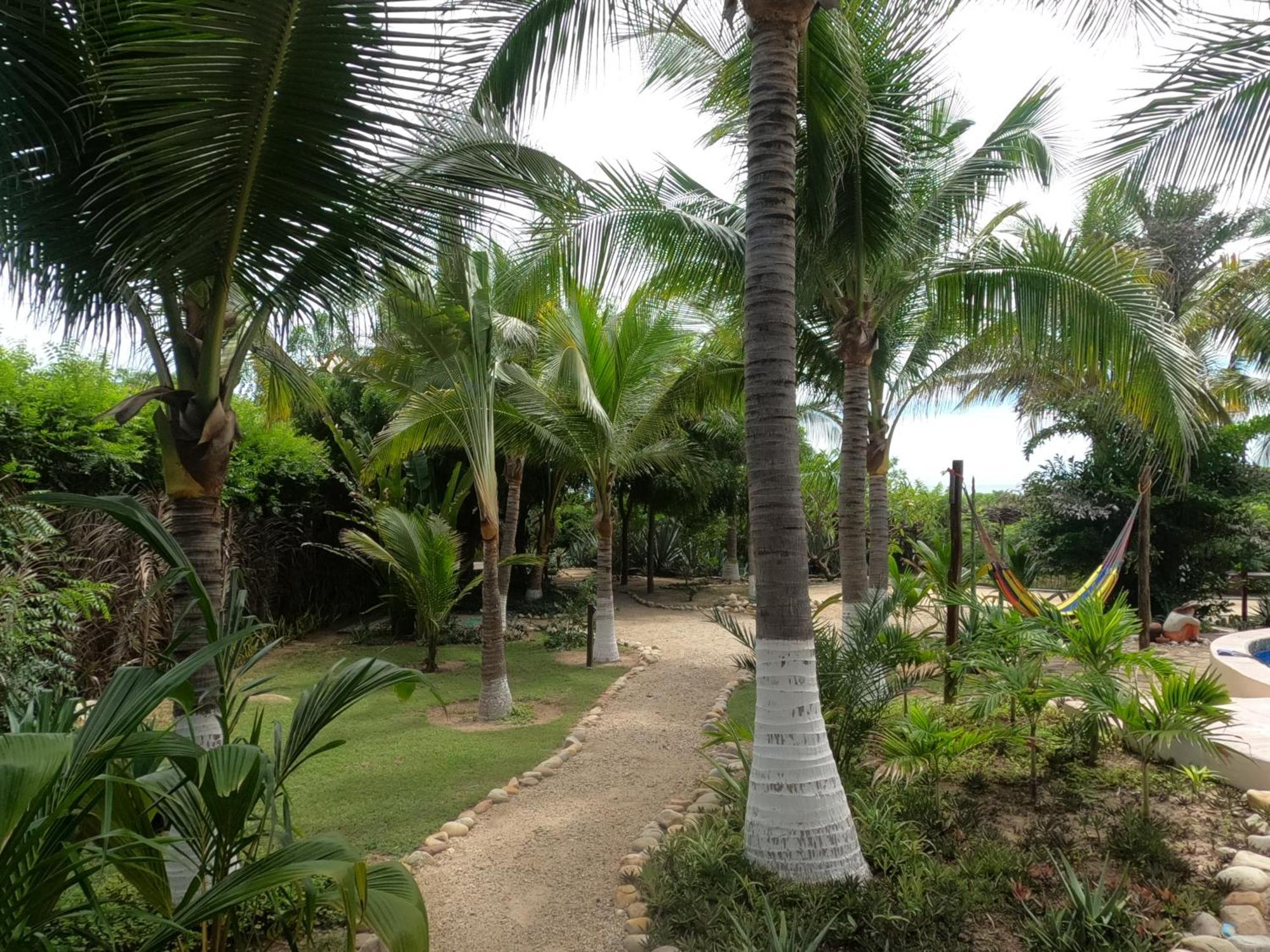 Ocean Oasis Hotel - Adult Only, Four Casitas Boutique Resort Agua Blanca Kültér fotó